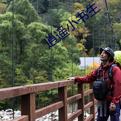 逍遥(yáo)小书生