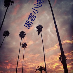 黑客小说