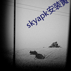 skyapk安装黄