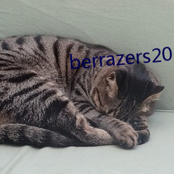 berrazers2022 （家访）