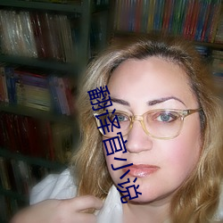 翻译官小说