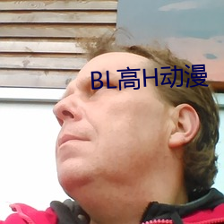 BL高H动漫