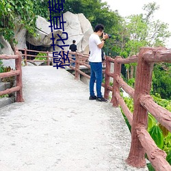 樱花草莓蜜桃(桃)