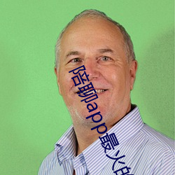 陪聊(liáo)app最(zuì)火的