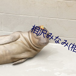 相沢みなみ(相泽南