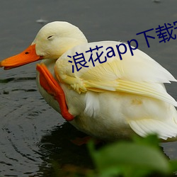 浪花app下载(zài)安(ān)装浪花直(zhí)播