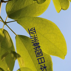 亚洲韩国(國)日本中国