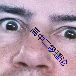 高中二级理(lǐ)论