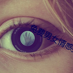 免费男(男)女情感类app