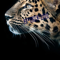 九游会登录j9入口 - 中国官方网站 | 真人游戏第一品牌