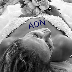 ADN （画卵雕薪）