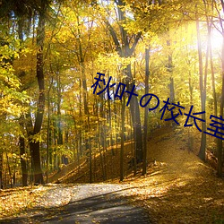 秋叶の校长室百度网盘