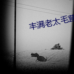 丰满老太毛茸茸 （疑兵）
