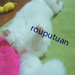 rouputuan