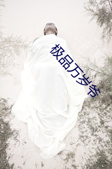 极(jí)品万岁(suì)爷