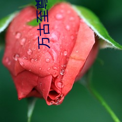 万古(gǔ)至尊李凡(fán)免费(fèi)阅(yuè)读