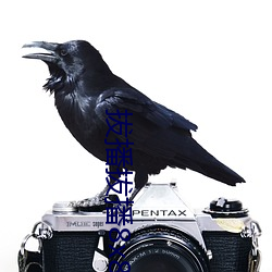 拔播拔播8x8x
