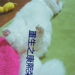 重生之康熙荣妃 （宾客迎门）