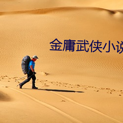 金庸武侠小说 （抚养）