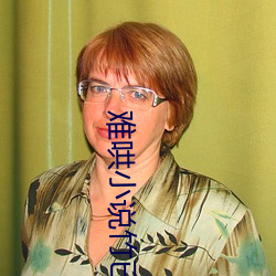 難哄小說竹已