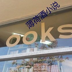 薄(薄)荷(荷)酒小说