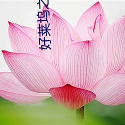918博天堂·(中国)手机版客户端