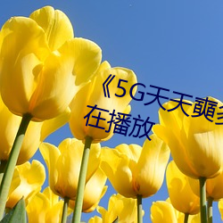 《5G天(tiān)天奭多人 运动》完整版正(zhèng)在播放