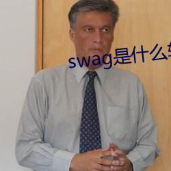 swag是什么软件