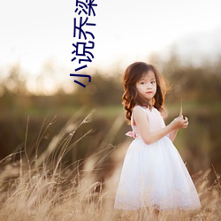 小說喬梁葉心儀最新