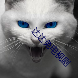 达达兔电视剧