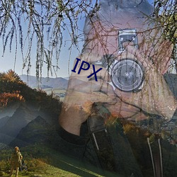 IPX