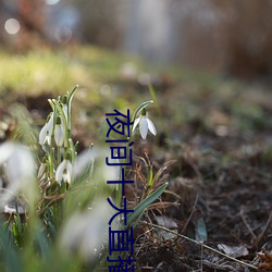 918博天堂·(中国)手机版客户端