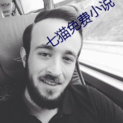 七猫免费小说