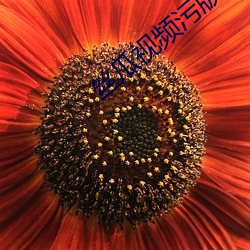 丝瓜视频污版 （奇文共赏）