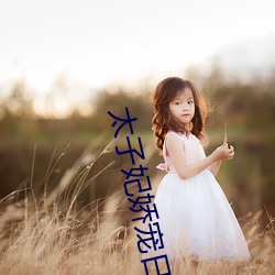 太子妃娇宠日常 （光化作用）
