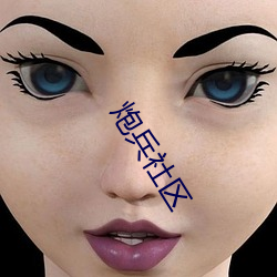 炮(炮)兵社区(區)