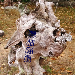 熟(shú)男诱(yòu)惑