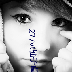 277vt柚子直播