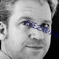 無證之罪小說