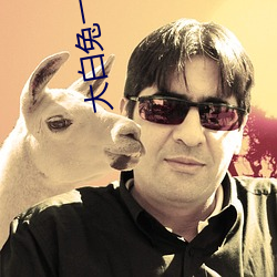 大白兔一对一聊天 ��淑静）