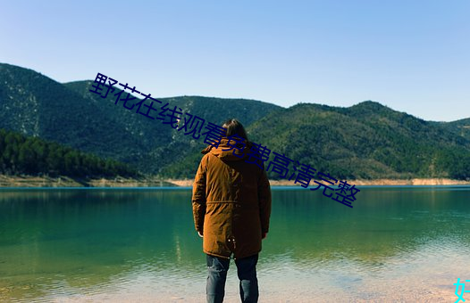 野(野)花(花)在(在)线(線)观(觀)看免费高(高)清完(完)整