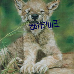 都(都)市仙(仙)王