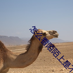 怎么看陌陌上是不是约的