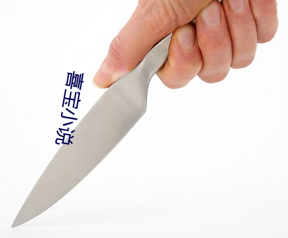喜宝小说