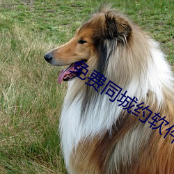 免费同城(chéng)约软件