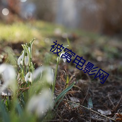 被窝电影网 （名流巨子）