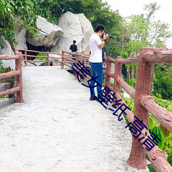 美女壁纸 高(高)清