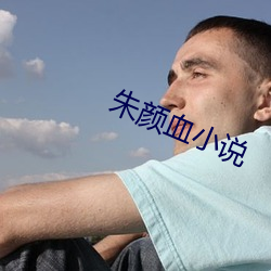 朱颜血小说