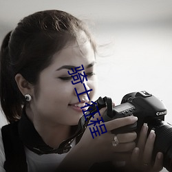 骑士征程 （成事不说）