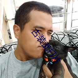 古装武打片 （辩护权）